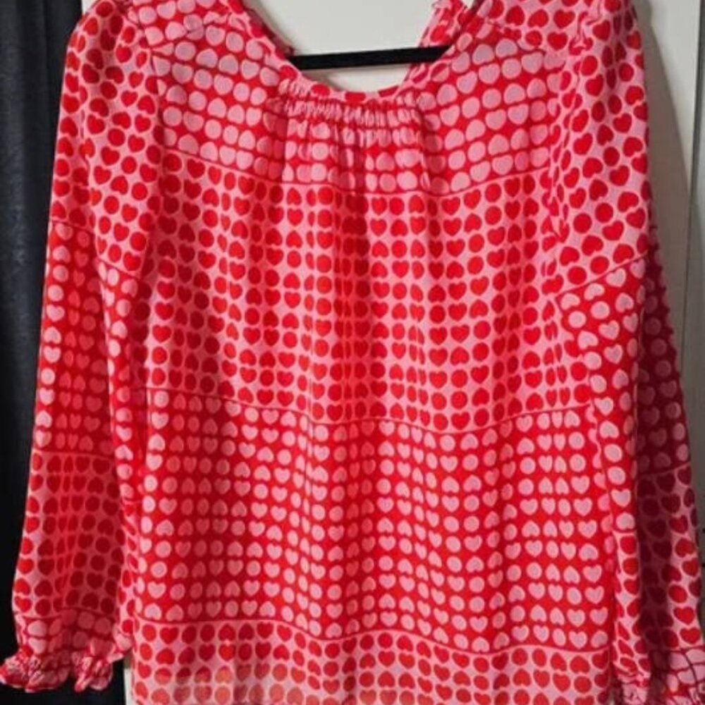 Long Sleeve Sheer Top